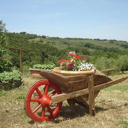Le Catre Castagneto Carducci