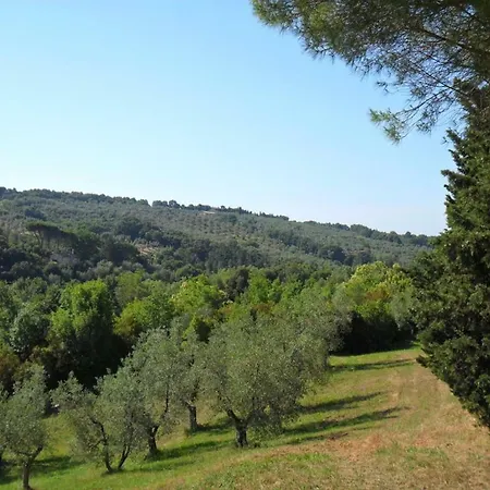 Le Catre * Castagneto Carducci