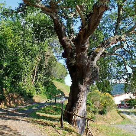 Le Catre Farm stay Castagneto Carducci